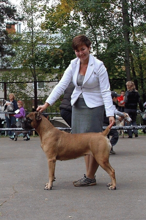 Zeta Corso For Bajerova