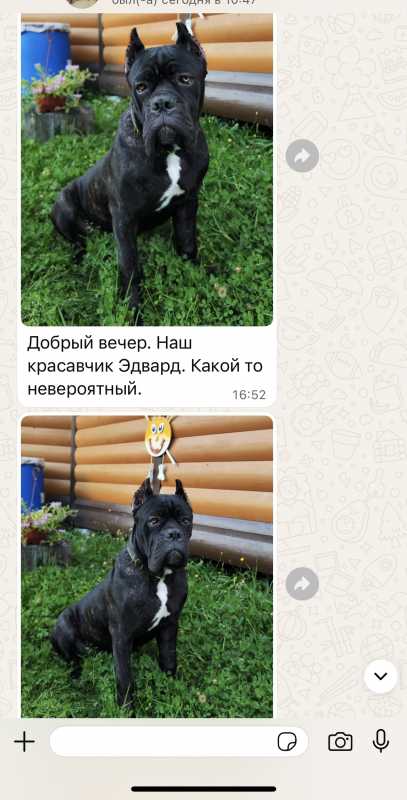 IMG_0177.jpeg IMG_0177.jpeg