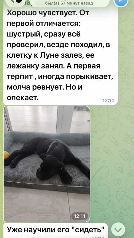 IMG_0251.jpeg IMG_0251.jpeg