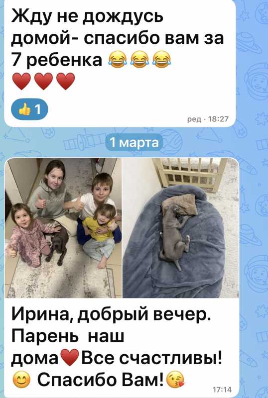 IMG_0749.jpeg IMG_0749.jpeg
