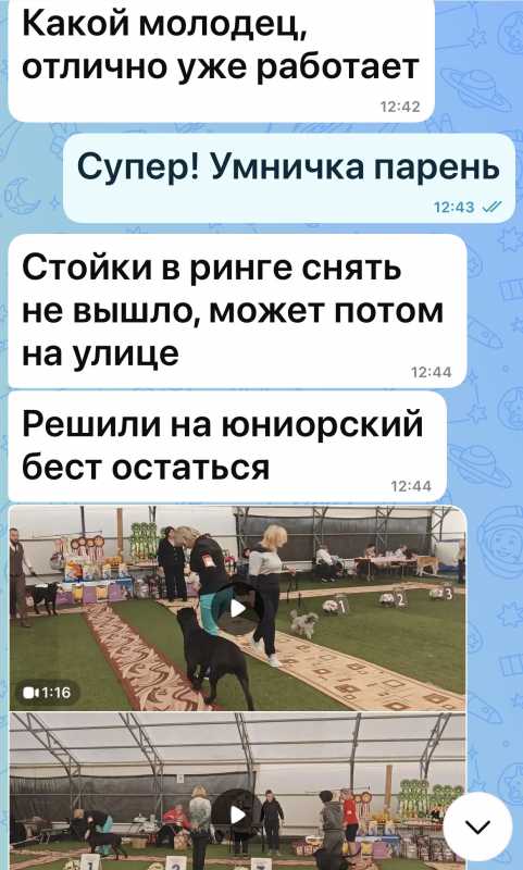 IMG_1247.jpeg IMG_1247.jpeg