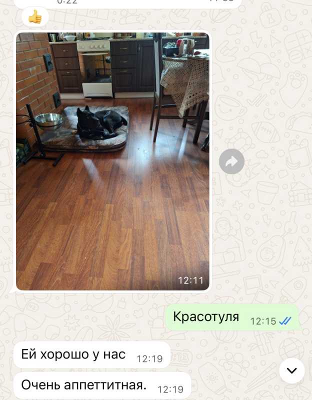 IMG_1953.jpeg IMG_1953.jpeg