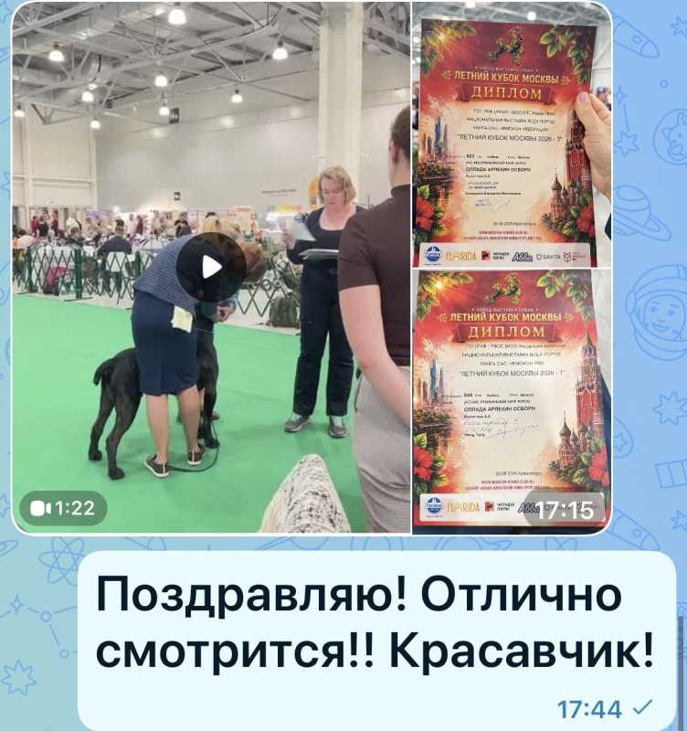 IMG_7194.jpeg IMG_7194.jpeg