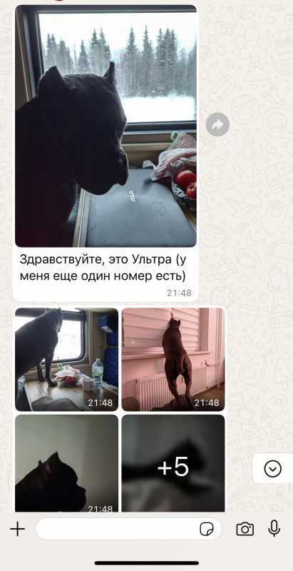 IMG_9374.jpeg IMG_9374.jpeg